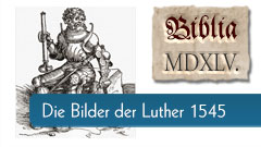 Die Bilder in der Lutherbibel von 1545