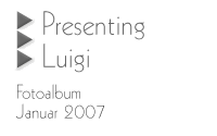Zum Fotoalbum »Presenting Luigi«