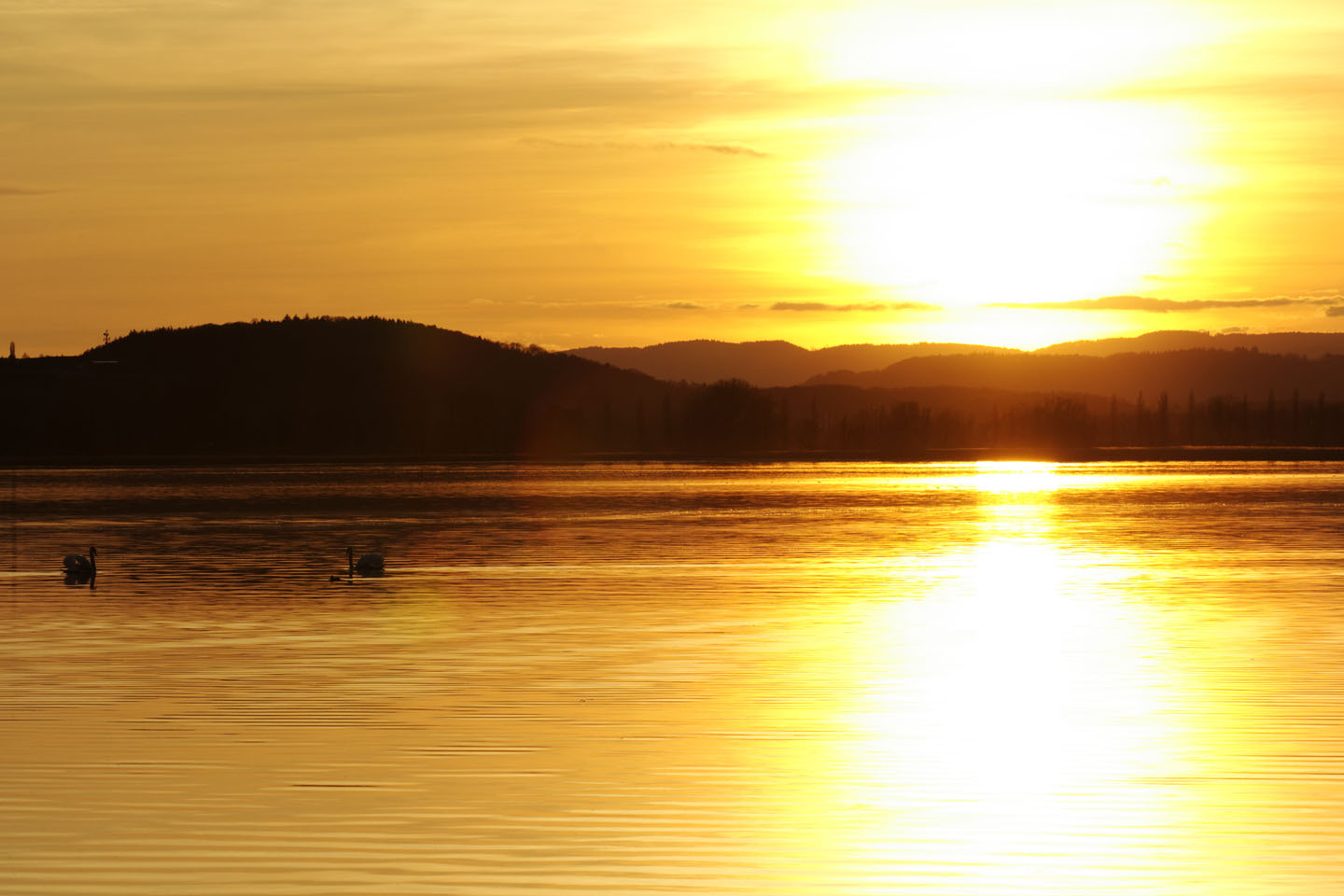 Bild 6: Sunset on Lake Constance
