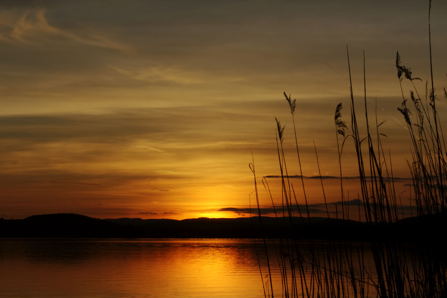 Bild 11: Sunset on Lake Constance