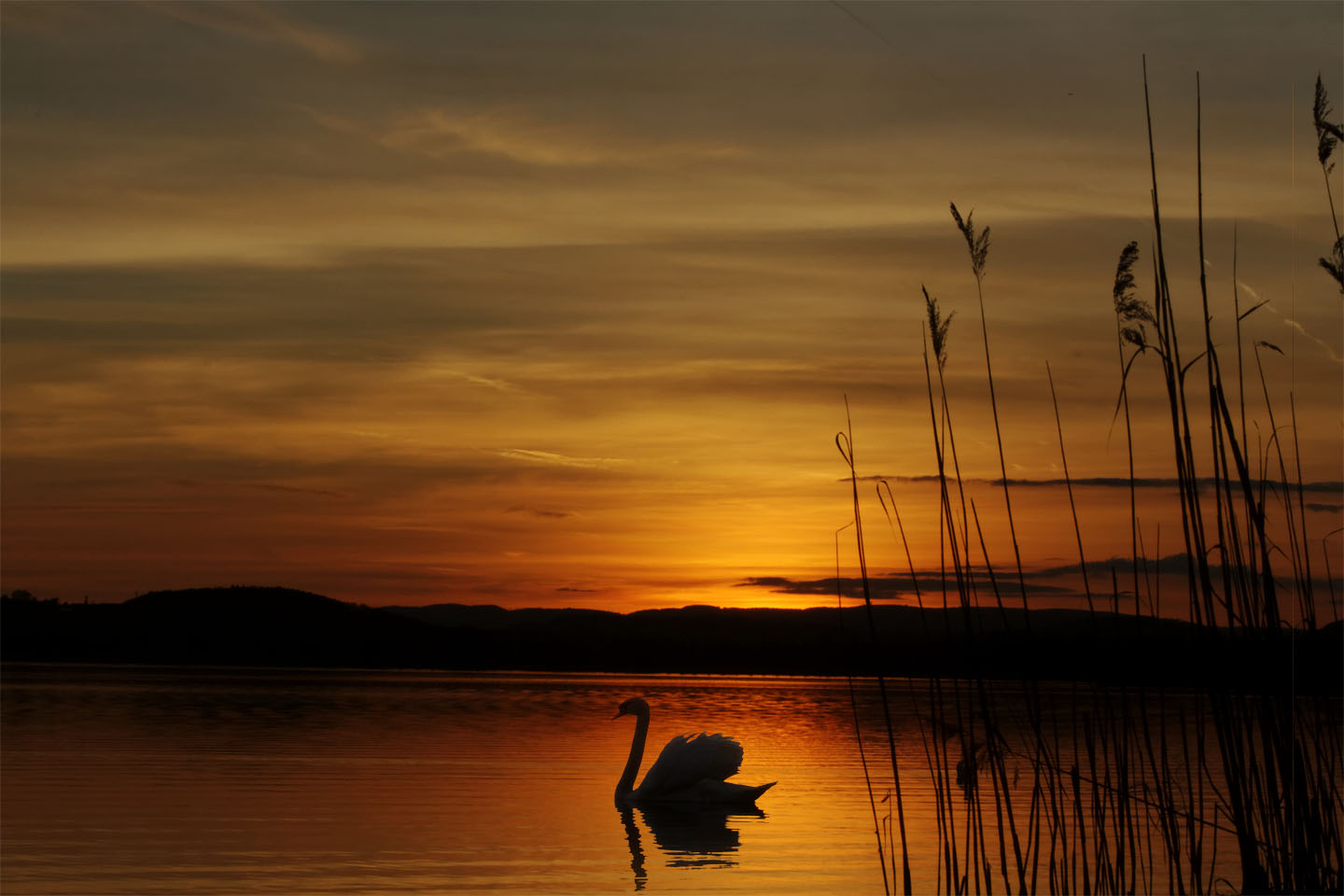 Bild 14: Sunset on Lake Constance