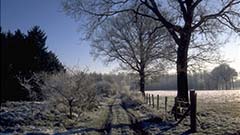 Winterlandschaft