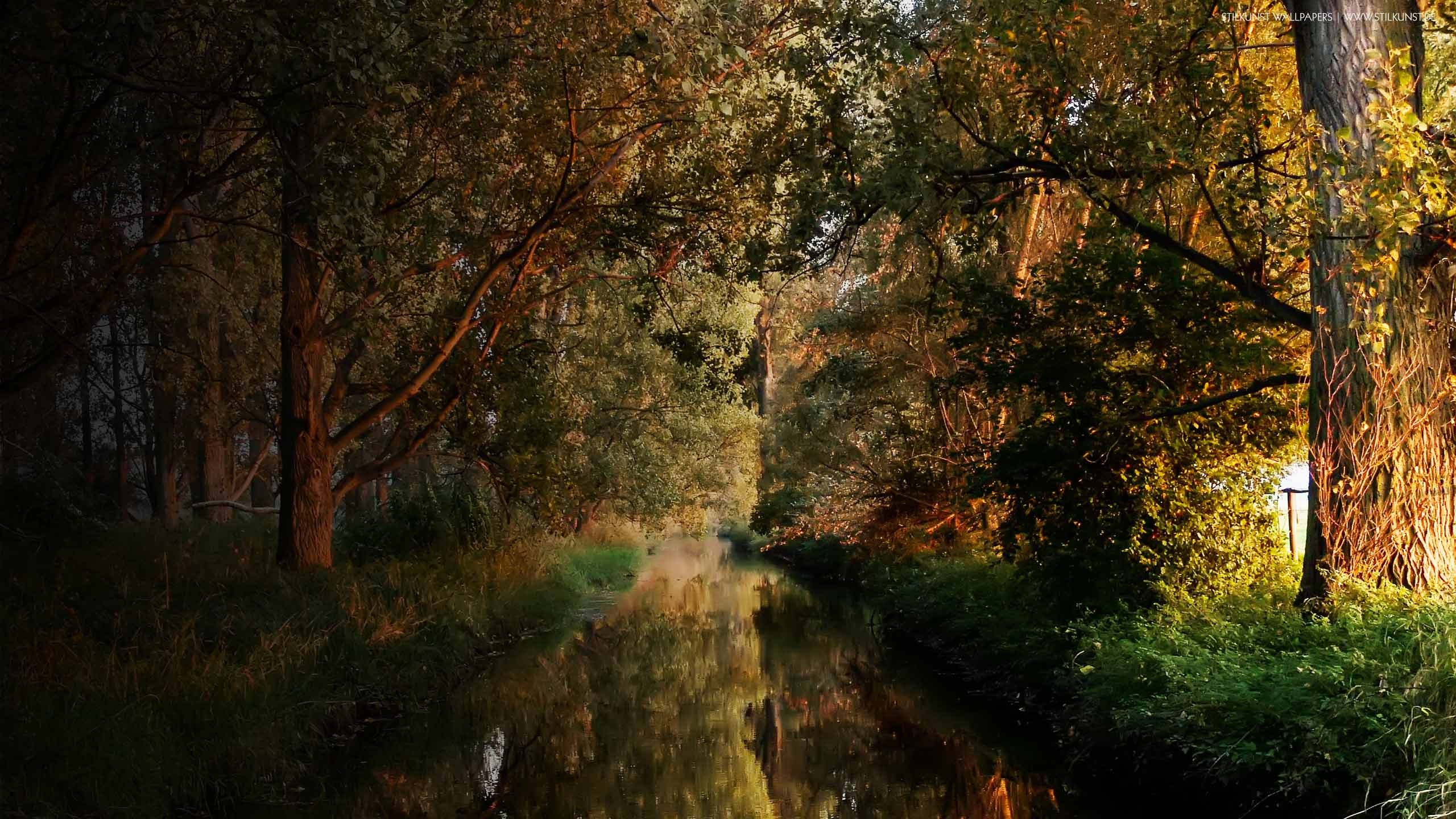 Farben im Herbst | 2560 x 1440px | Bild: ©by Sabrina | Reiner | www.stilkunst.de | Lizenz: CC BY-SA