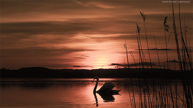 Sonnenuntergang | 636 x 358px | Bild: ©by Sabrina | Reiner | www.stilkunst.de | Lizenz: CC BY-SA
