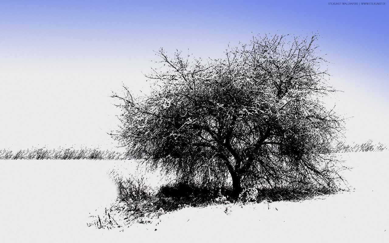 Winterlandschaft | 1280 x 800px | Bild: ©by Sabrina | Reiner | www.stilkunst.de | Lizenz: CC BY-SA