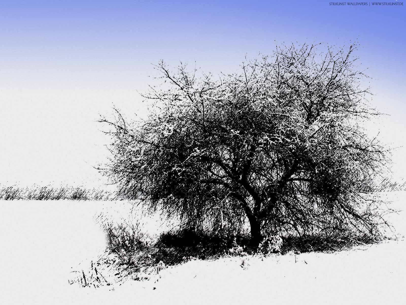 Winterlandschaft | 1600 x 1200px | Bild: ©by Sabrina | Reiner | www.stilkunst.de | Lizenz: CC BY-SA