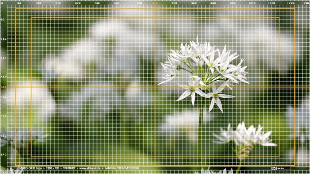 Foto mit VideoGrid 16 Pixels, 1280 x 720, Lineal + Raster + Mittelkreuz + Sichere Ränder | Foto: © Sabrina | Reiner | Lizenz CC BY-SA