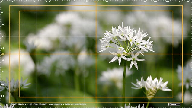 Foto mit VideoGrid 80 Pixels, 1280 x 720, Lineal + Raster + Mittelkreuz + Sichere Ränder | Foto: © Sabrina | Reiner | Lizenz CC BY-SA